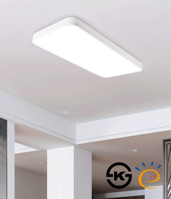 로치 50W 고효율 국산LED거실등, 거실전등